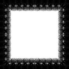 Fringe Border