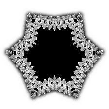 Lace Star