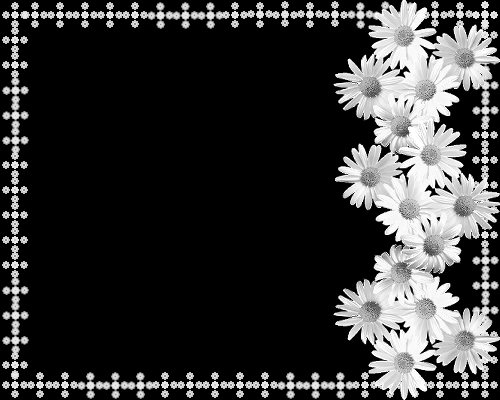 Daisy Panel