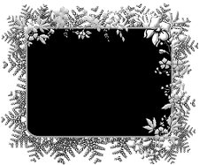 fern-flower-frame