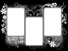 triple-floral-grungeframe1