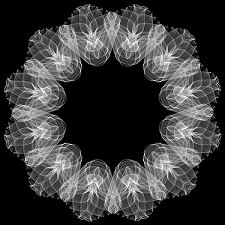lacy ciecle