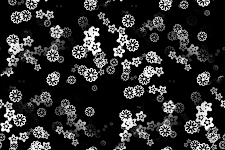 flower-texture2