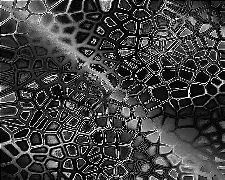 Geometric Texture 6
